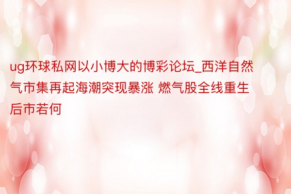 ug环球私网以小博大的博彩论坛_西洋自然气市集再起海潮突现暴涨 燃气股全线重生 后市若何